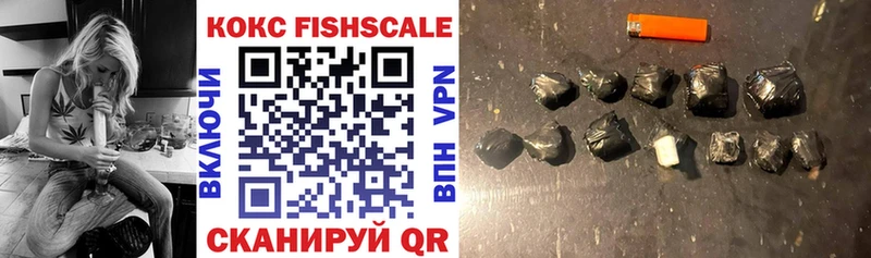 КОКАИН FishScale  купить наркоту  Удомля 