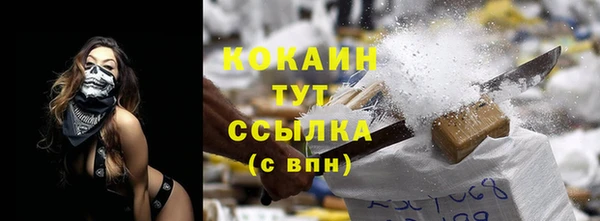 индика Армянск