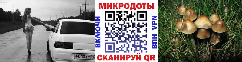 Псилоцибиновые грибы Psilocybe  Удомля 